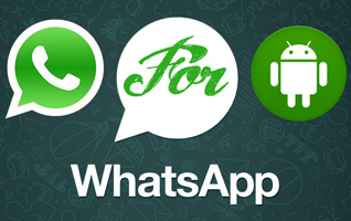 WhatsApp to Old Version APK download